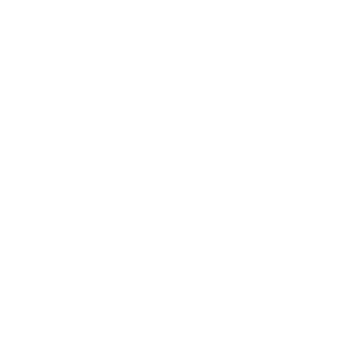 Logo Deemi Agency